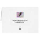 Waarom de Long Face - Greyhound kaart (Achterkant Horizontaal)