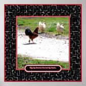 Waarom de Rooster de weg kruiste Poster (Voorkant)