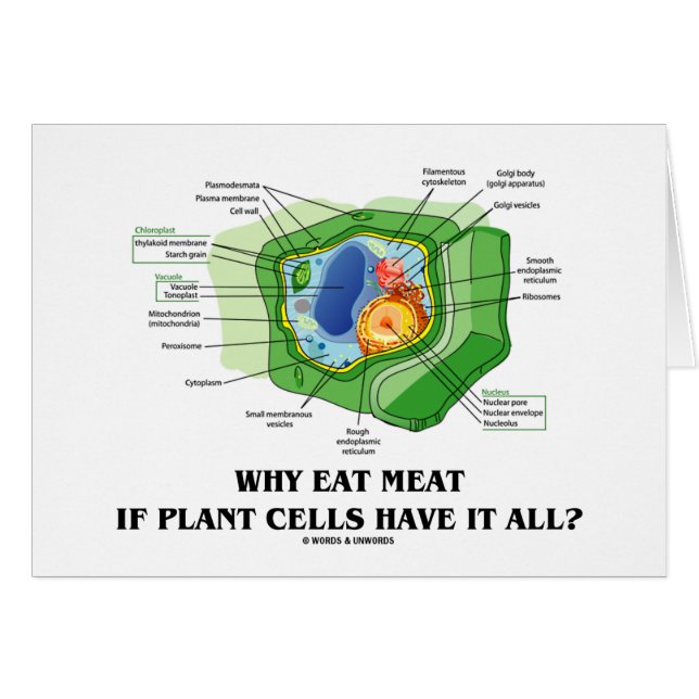 Waarom eet je vlees als Plant cellen alles hebben? (Voorkant Horizontaal)