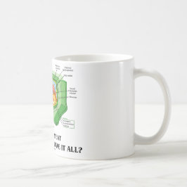 Waarom eet je vlees als Plant cellen alles hebben? Koffiemok