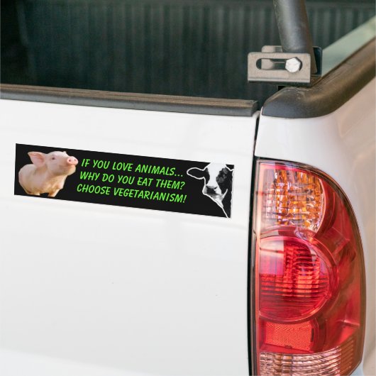 waarom eet u dieren bumpersticker (Op Truck)