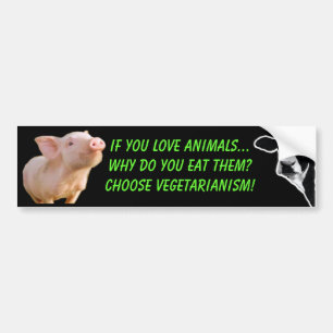 waarom eet u dieren bumpersticker