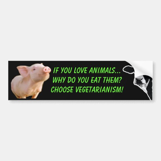 waarom eet u dieren bumpersticker (Voorkant)