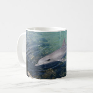 Waarom Hallo de heer Dolphin, de Mok van koffie