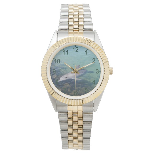 Waarom Hallo de heer Dolphin, Unisex Watch Horloge (Voorkant)