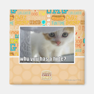 Waarom heb je een huid? magneet