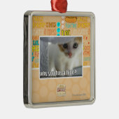 Waarom heb je een huid? metalen ornament (Rechts)