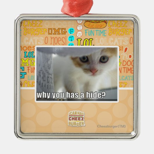 Waarom heb je een huid? metalen ornament (Voorkant)