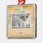 Waarom heb je een huid? metalen ornament (Links)