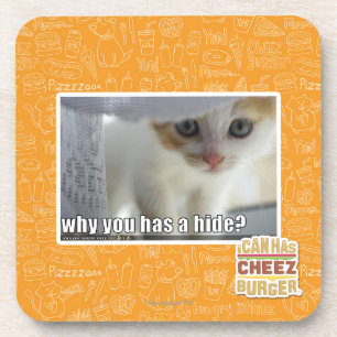 Waarom heb je een huid? onderzetter