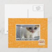 Waarom heb je een schuilplaats? briefkaart (Voorkant / Achterkant)