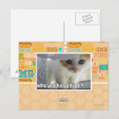 Waarom heb je een schuilplaats? briefkaart (Voorkant / Achterkant)