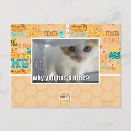 Waarom heb je een schuilplaats? briefkaart (Voorkant)