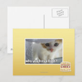 Waarom heb je een schuilplaats? briefkaart (Voorkant / Achterkant)