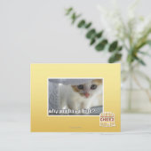 Waarom heb je een schuilplaats? briefkaart (Staand voorkant)