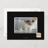 Waarom heb je een schuilplaats? briefkaart (Voorkant / Achterkant)