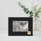 Waarom heb je een schuilplaats? briefkaart (Staand voorkant)