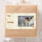 Waarom heb je een schuilplaats? etiket (Insitu)