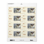 Waarom heb je een schuilplaats? etiket (Full Sheet)