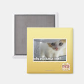 Waarom heb je een schuilplaats? magneet (Voorkant / Achterkant)