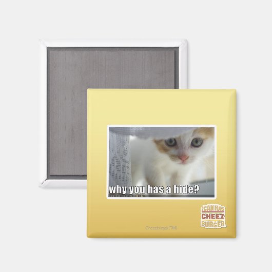 Waarom heb je een schuilplaats? magneet (Voorkant / Achterkant)