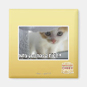 Waarom heb je een schuilplaats? magneet (Voorkant)