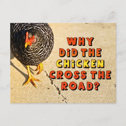 Waarom heeft de Chicken Cross de weg bewandeld? Briefkaart (Voorkant)