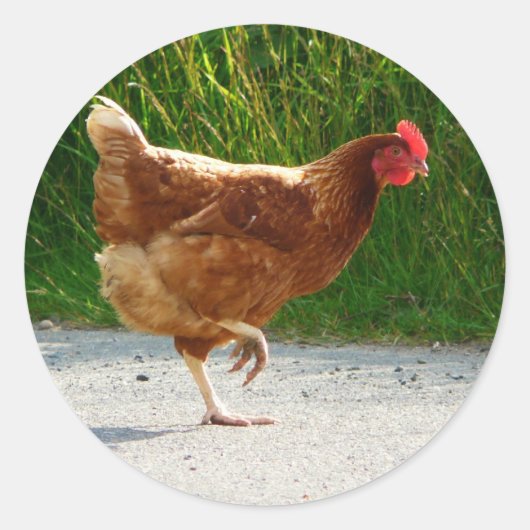 Waarom heeft de Chicken Cross de weg bewandeld? Ronde Sticker (Voorkant)