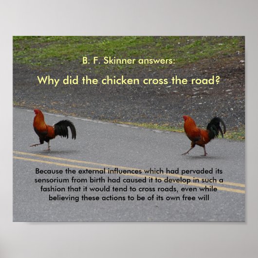 Waarom heeft het kippenkruis? - (klein) poster (Voorkant)