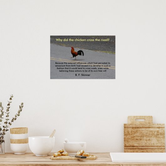 Waarom heeft het kippenkruis? -poster poster (Keuken)