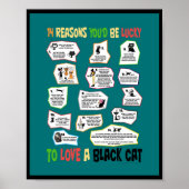 Waarom het heerlijk is om van een zwarte kat te ho poster (Voorkant)