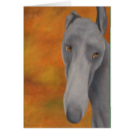 Waarom het Long Face? (a393)