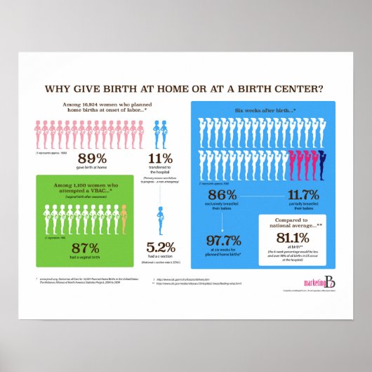 Waarom Home Birth Infographic 20" x 16" Poster (Voorkant)