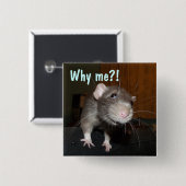 Waarom ik?! Rat badge Vierkante Button 5,1 Cm (Voorkant /achterkant)