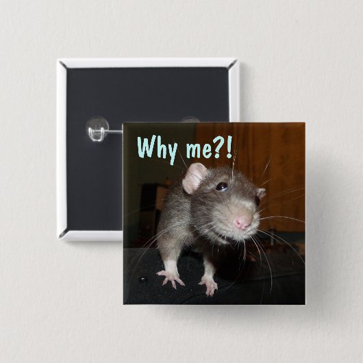 Waarom ik?! Rat badge Vierkante Button 5,1 Cm (Voorkant /achterkant)