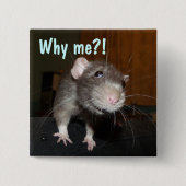 Waarom ik?! Rat badge Vierkante Button 5,1 Cm (Voorkant)