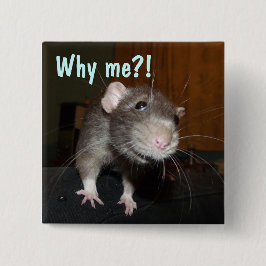 Waarom ik?! Rat badge Vierkante Button 5,1 Cm