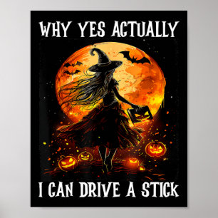 Waarom ja ik kan een stok vrouwen met H rijden Poster