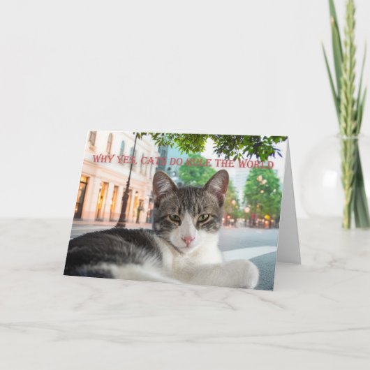 Waarom ja, katten regeren de wereld, let op aankondiging (Voorkant)