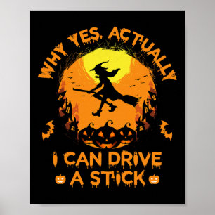 Waarom kan ik eigenlijk wel een stok rijden - Hall Poster