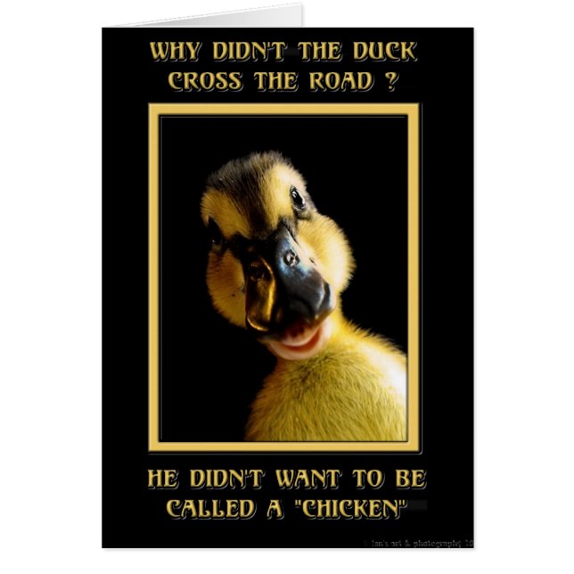 Waarom kruiste de eend niet de weg? (Voorkant)