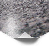 Waarom kruiste de salamander de weg? foto afdruk (Hoek)