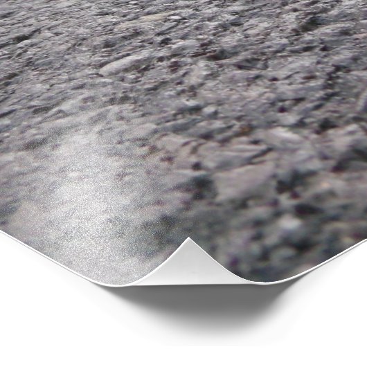 Waarom kruiste de salamander de weg? foto afdruk (Hoek)