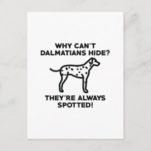 Waarom kunnen Dalmatiërs zich niet verbergen? Briefkaart