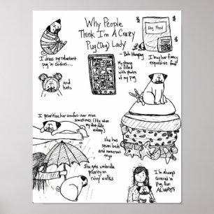 Waarom mensen denken dat ik een gekke Pug Lady ben Poster
