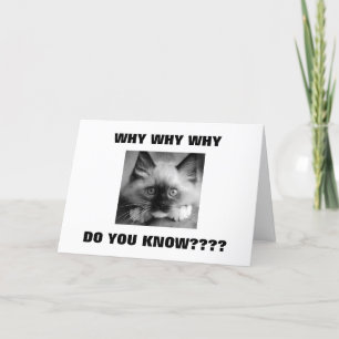 WAAROM MOETEN WE '40 TWIN' BIRTHDAY BENUTTEN? KAART