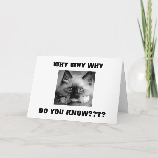 WAAROM MOETEN WE DE VERJAARDAG VAN DE "40 TWIN" VE KAART (Voorkant)