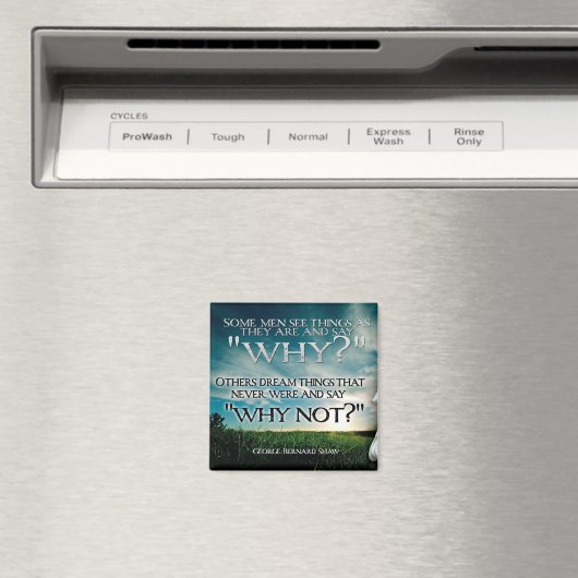 WAAROM? Motivatie magneet (Insitu (Vaatwasser))