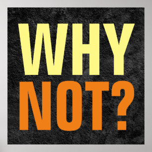 Waarom niet mogelijkheden Inspirerend Grey Poster