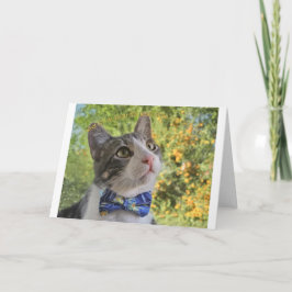 Waarom passen in, notecard aankondiging